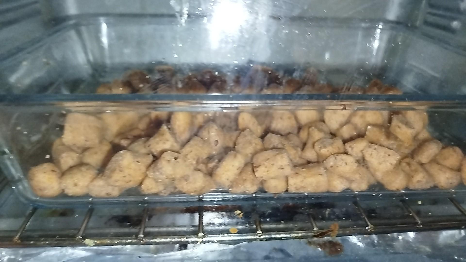 Human Kibble in oven