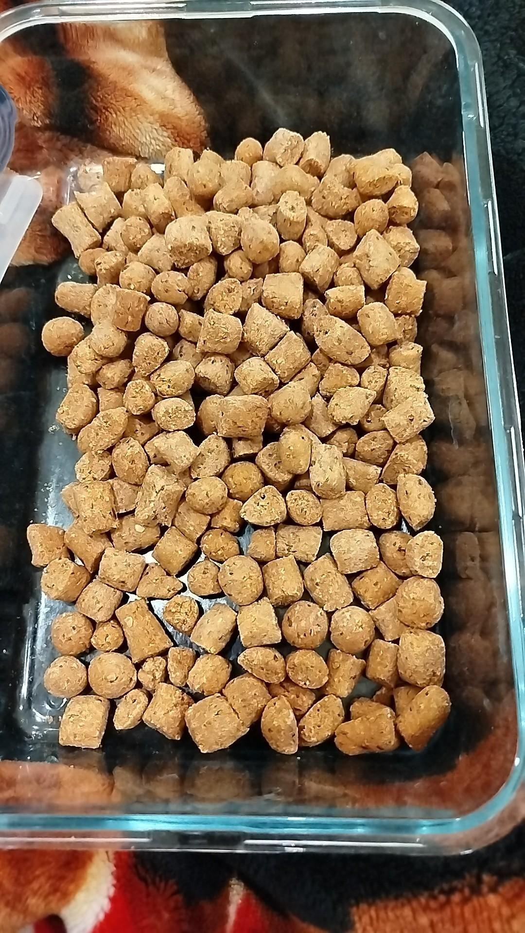 Human Kibble result